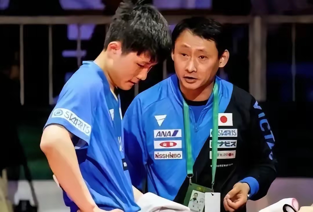 中国队完胜波兰队，张本智和带队取胜