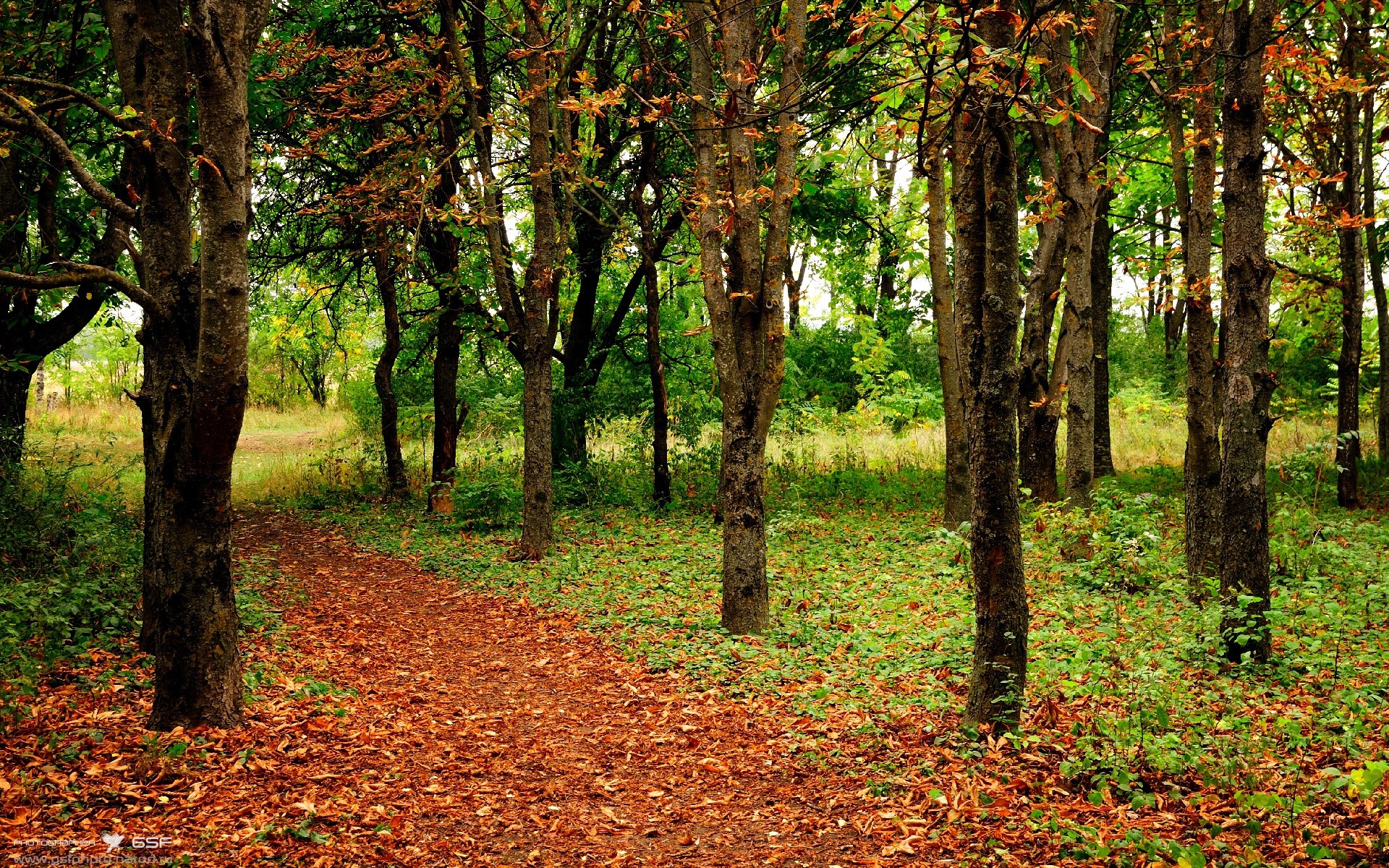 哈登连砍21分拯救球队？不，是湖人掀翻黄蜂！现代体育新闻的标题骗局