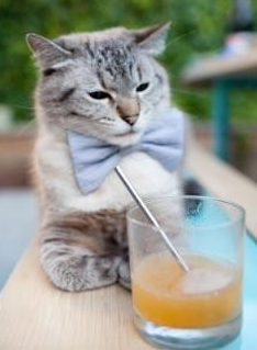 当曼彻斯特红飘扬在东决球馆,布鲁诺·费尔南德斯用足球智慧赢下篮球战争