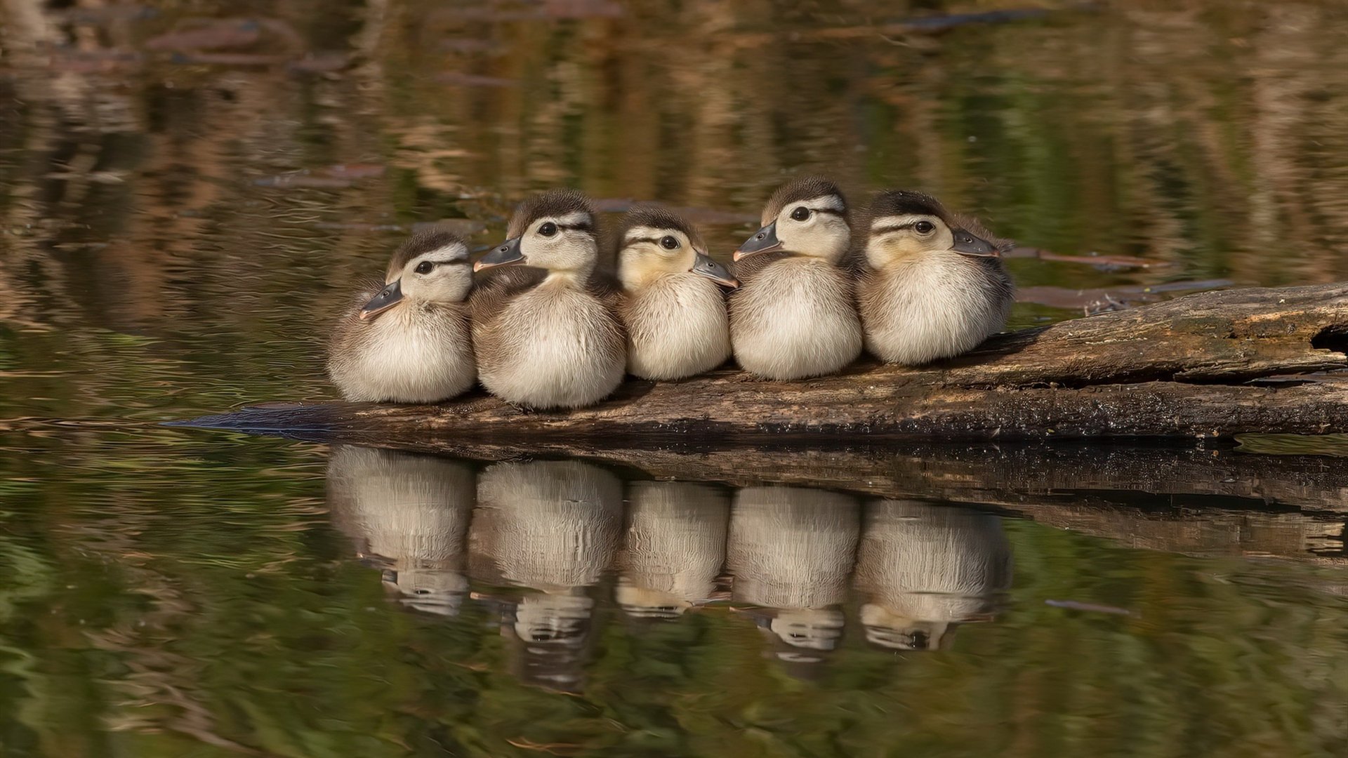 星辰凝视，当新疆封王夜遇上英超终局点