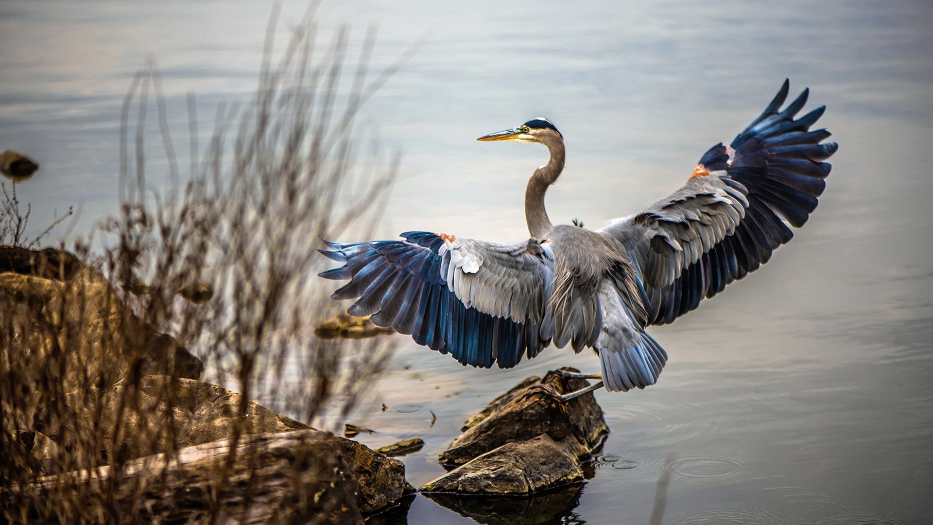 终场前的唯一回响，穆勒一锤定音