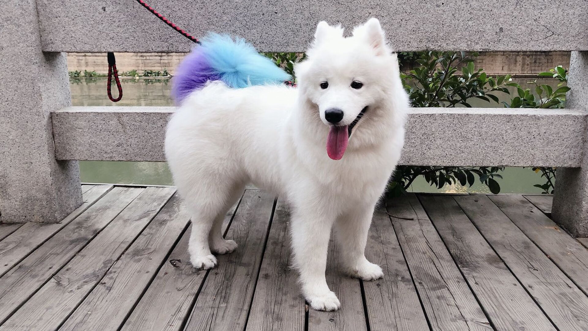 唯一,那个美加墨交融的足球之夜,哈弗茨书写了现代中锋的终极教科书