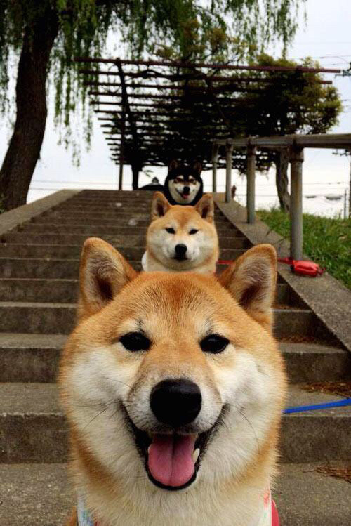 从红牛到金杯，路易斯·迪亚斯的火力进化论