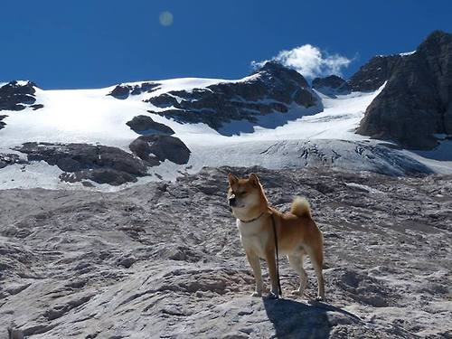 宿敌与钥匙，为何弗拉霍维奇才是希腊人挥之不去的噩梦
