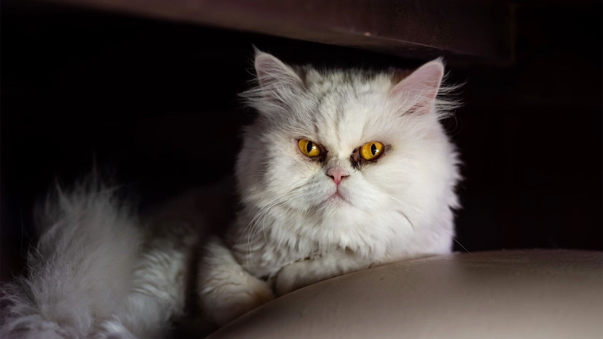 哈登带走聚光灯，爵士偷走胜利，一场比赛的两种叙事