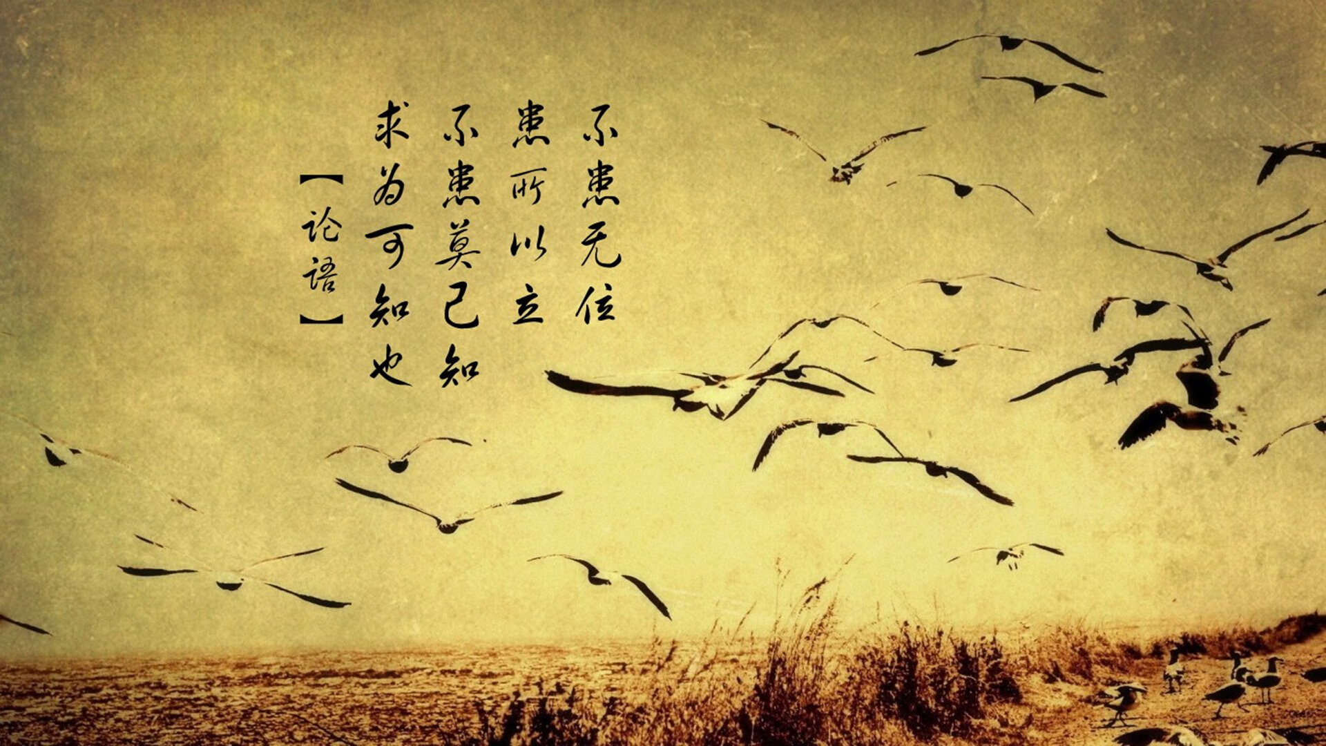 王者的翻盘艺术,上海团队风暴与浓眉的个人舞台