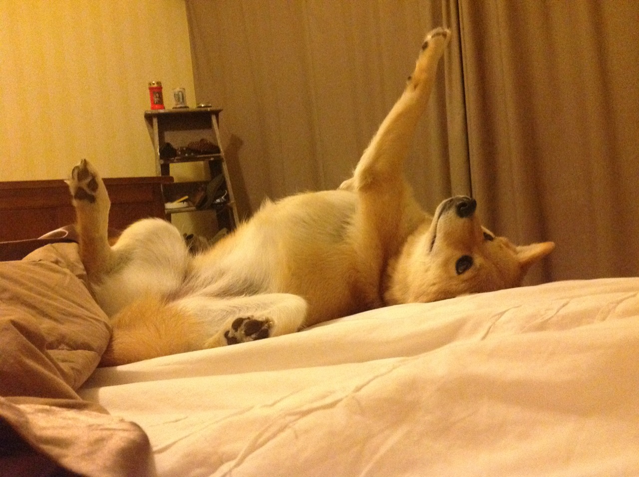 巴斯托尼一锤定音!国际米兰那不勒斯巅峰对决锁定波兰出线权