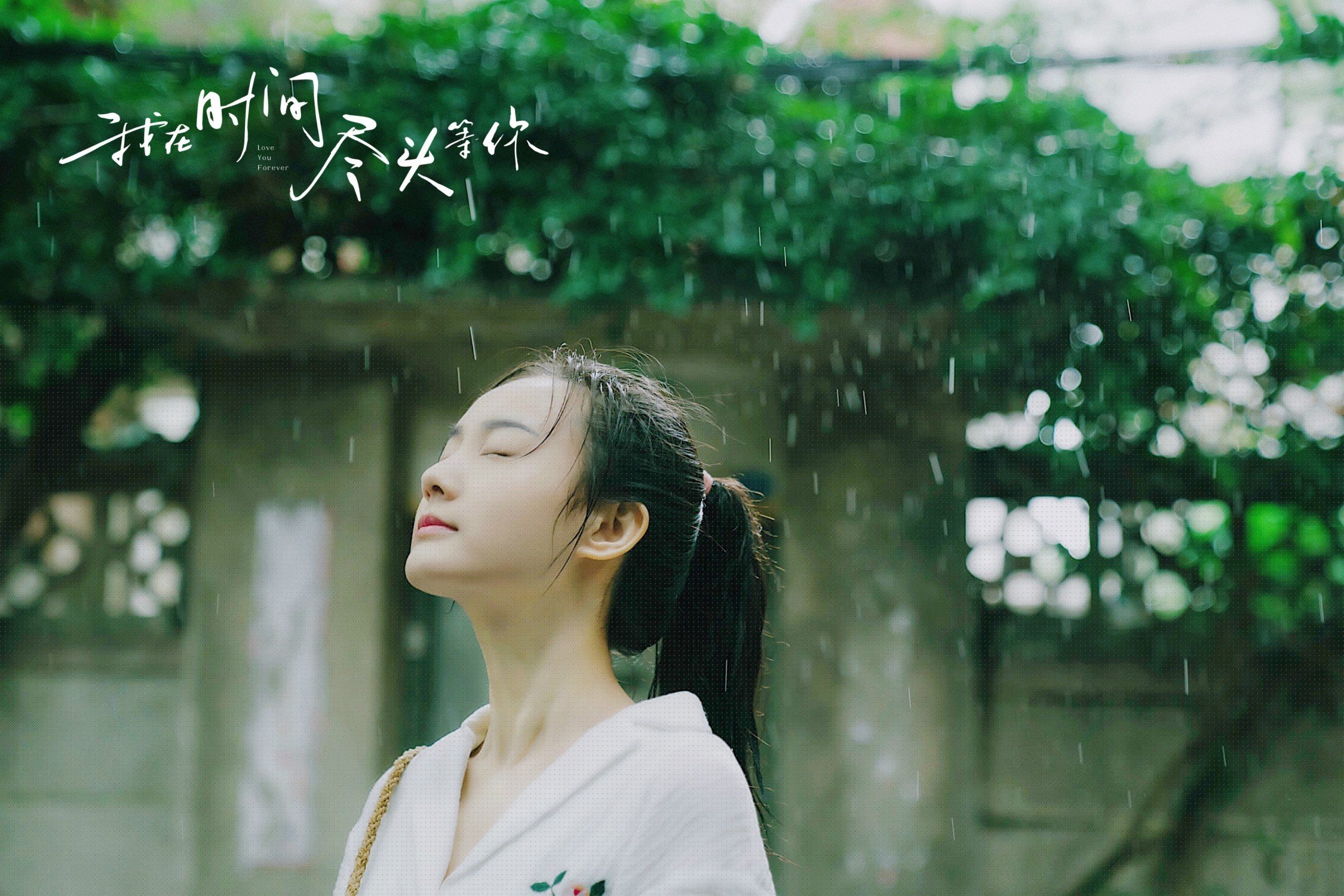 当冰封猛龙撞上道家之刃,欧文如何用一场比赛证明唯一性