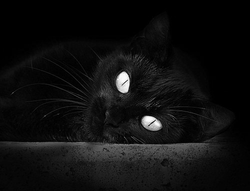 草根逆袭！亚特兰大2-0轻取巴黎，欧冠半决赛上演战术教科书