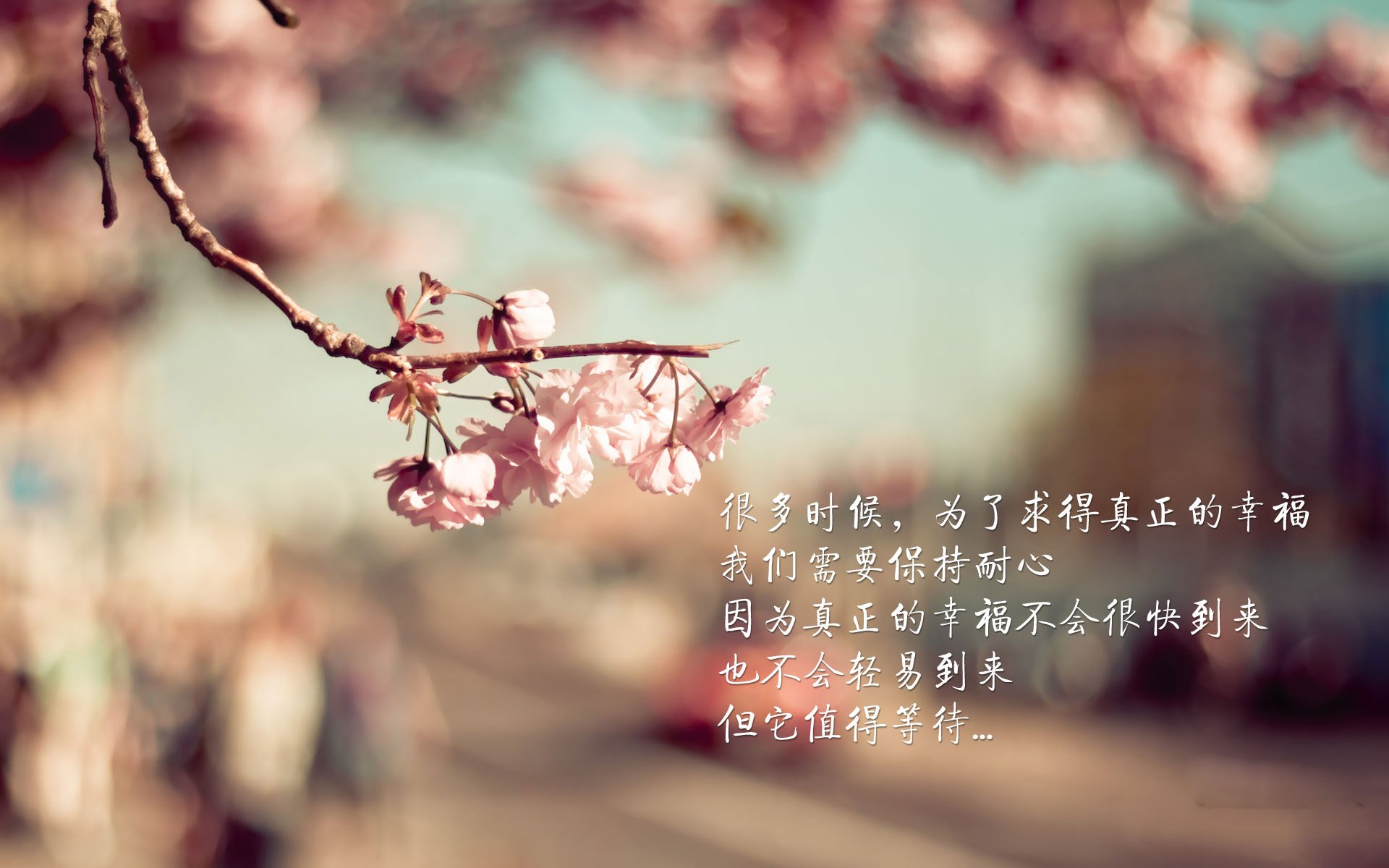 孤胆刺破天罗网，总决赛之夜，库里用独一方式重写唯一性