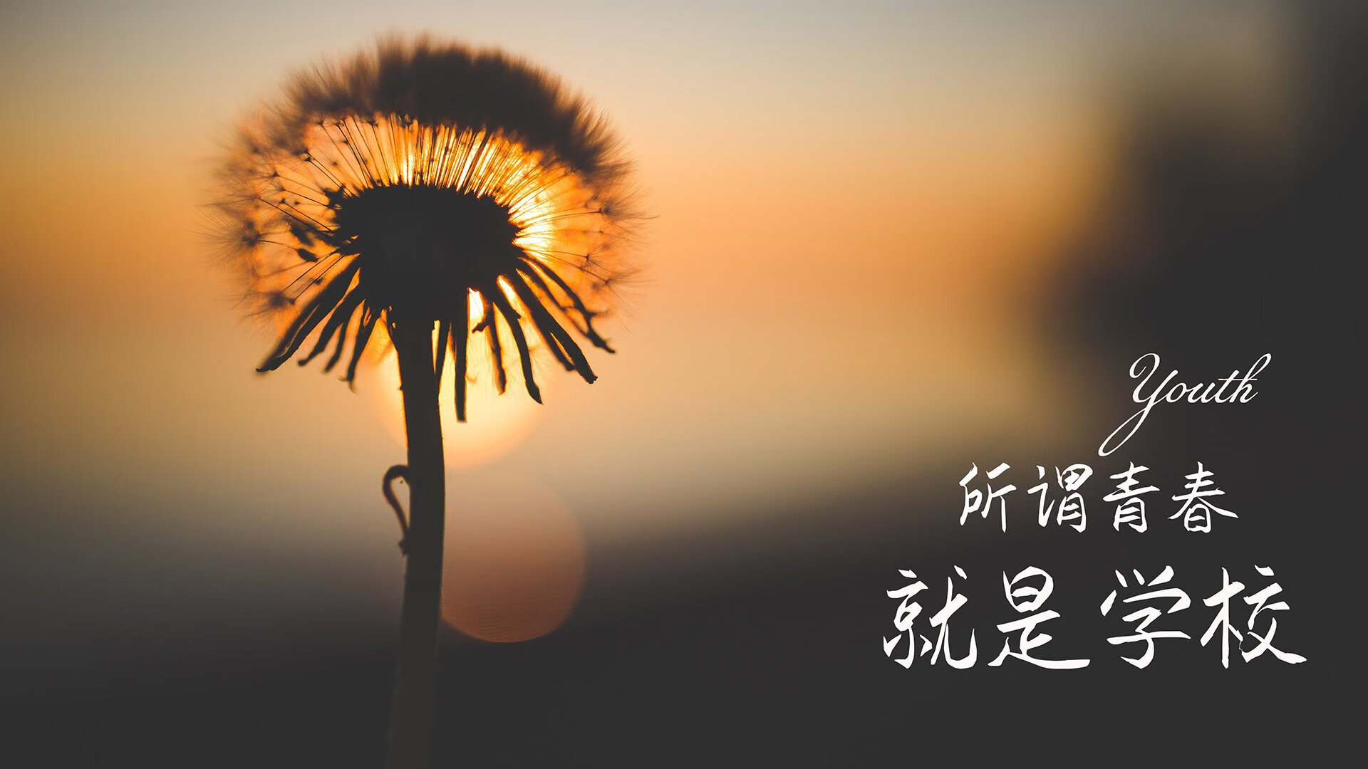 恒河燃起北非之火，归化奇才齐耶赫如何用一脚天外飞仙，炸裂2026世界杯A组冷门之夜