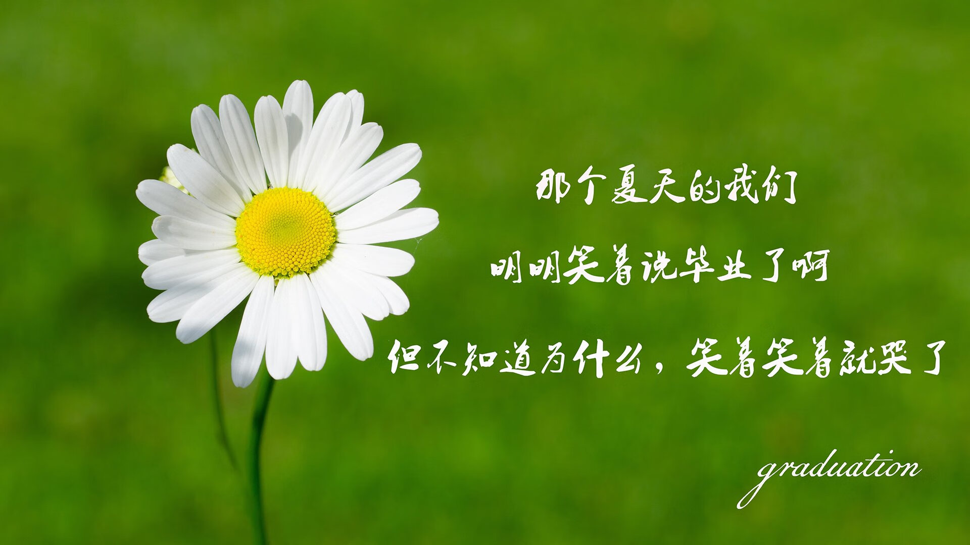 三笘薰的最后一舞，2026世界杯H组唯一压哨绝杀，比利时2-1意大利